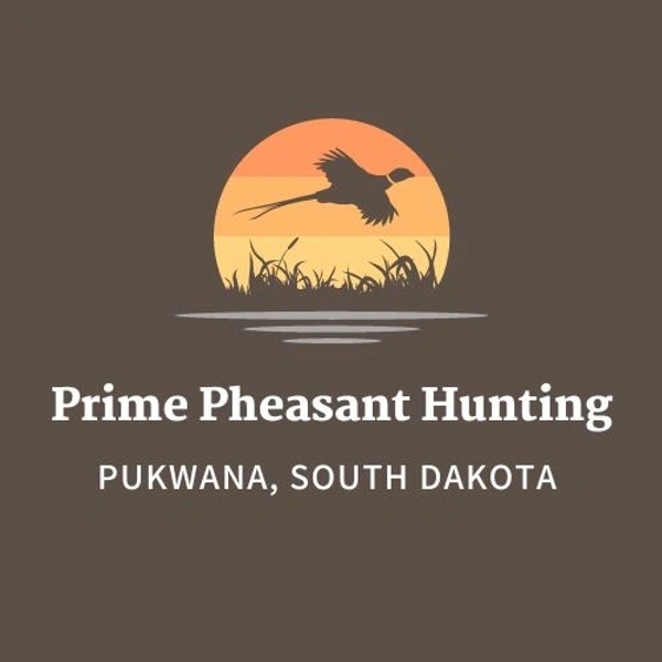 Prime Pheasant Hunting — Pukwana, South Dakota